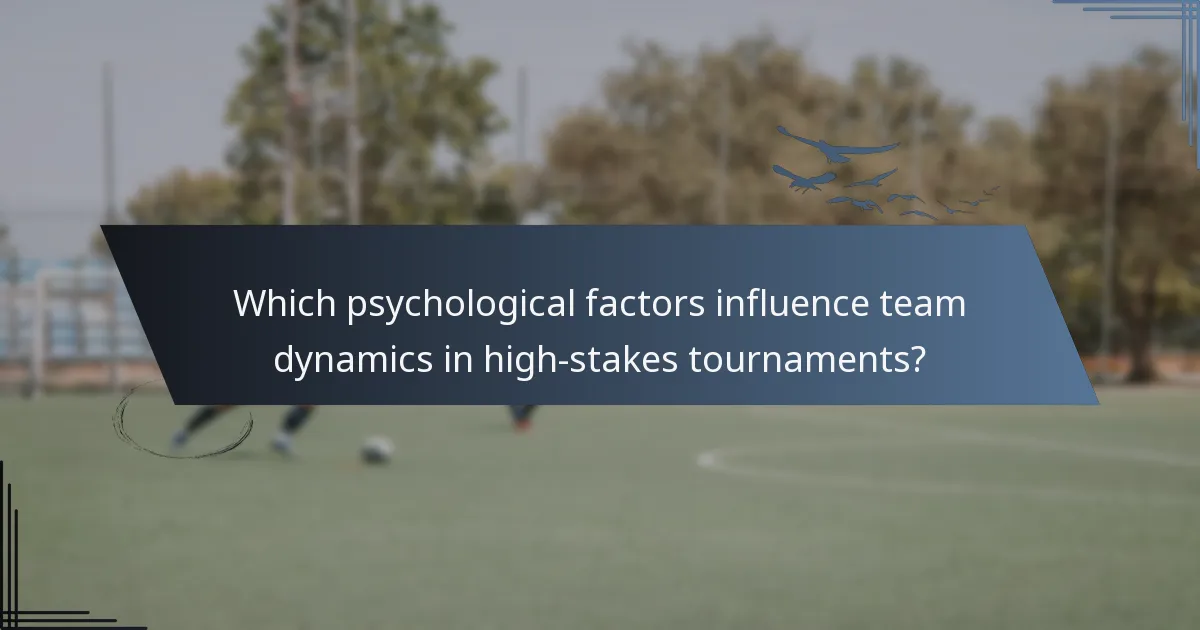 Which psychological factors influence team dynamics in high-stakes tournaments?